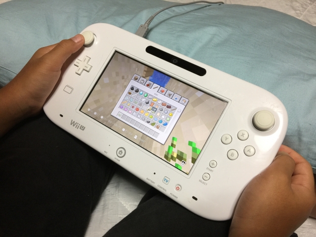 発達障害の息子のために任天堂3DSでワーキングメモリを強化